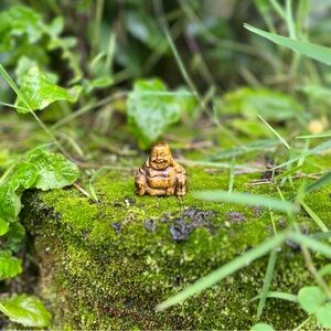 Tiger’s Eye Buddha Carving Crystal